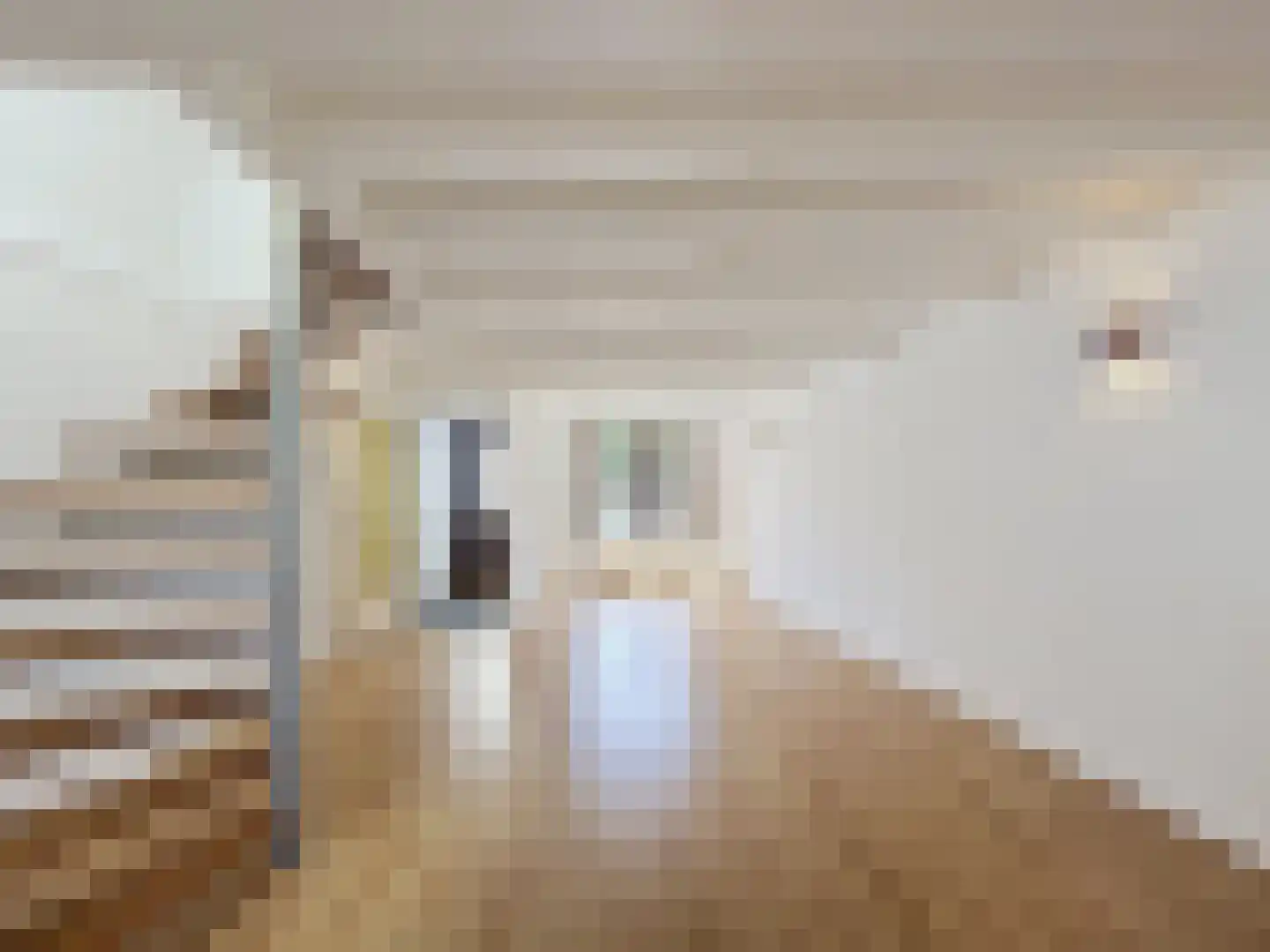 Sassenstraat 10 Aardenburg thumbnail 9