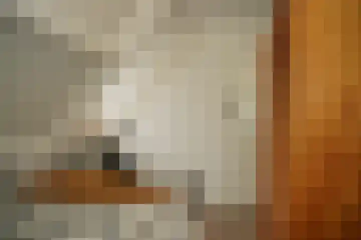 Sassenstraat 15 Aardenburg thumbnail 33