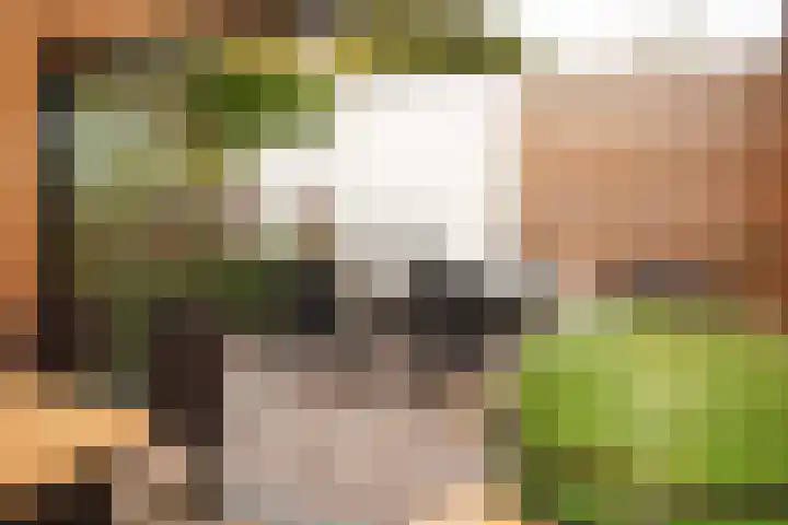 Sassenstraat 15 Aardenburg thumbnail 35
