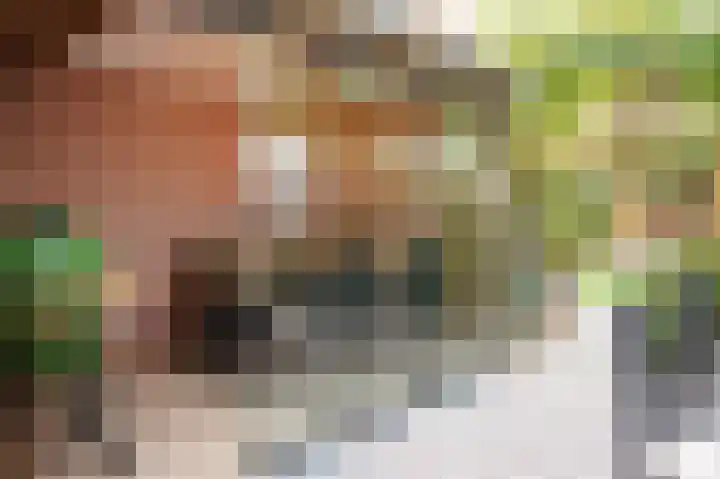 Sassenstraat 15 Aardenburg thumbnail 37