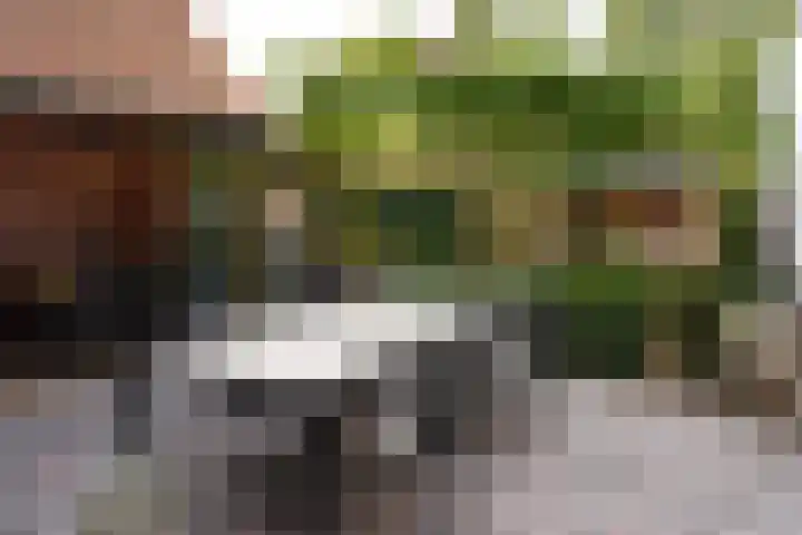 Sassenstraat 15 Aardenburg thumbnail 38