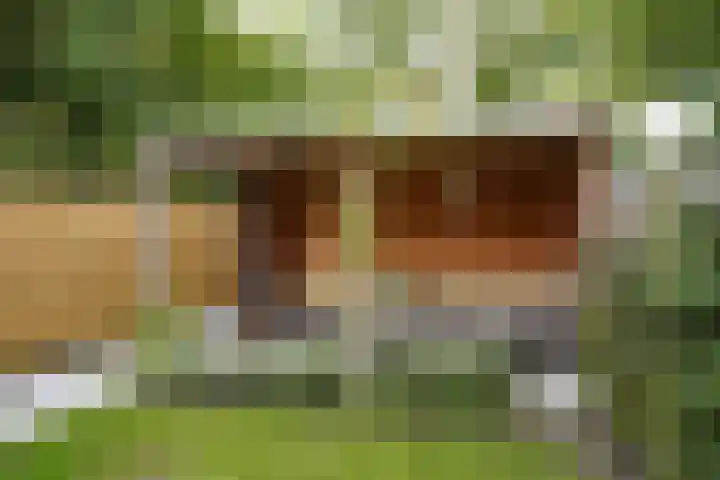 Sassenstraat 15 Aardenburg thumbnail 41