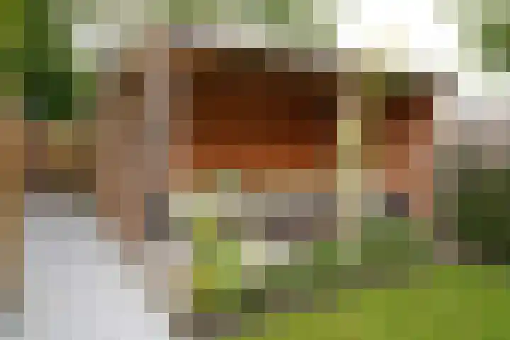 Sassenstraat 15 Aardenburg thumbnail 42