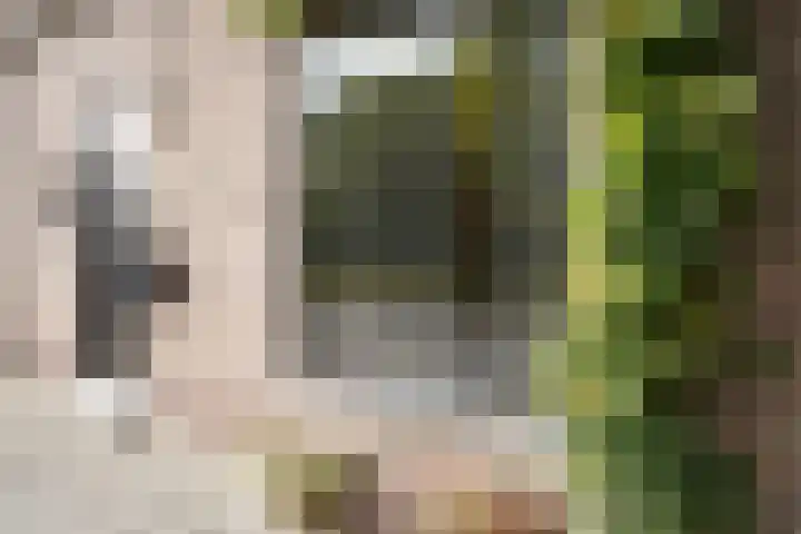 Sassenstraat 15 Aardenburg thumbnail 49