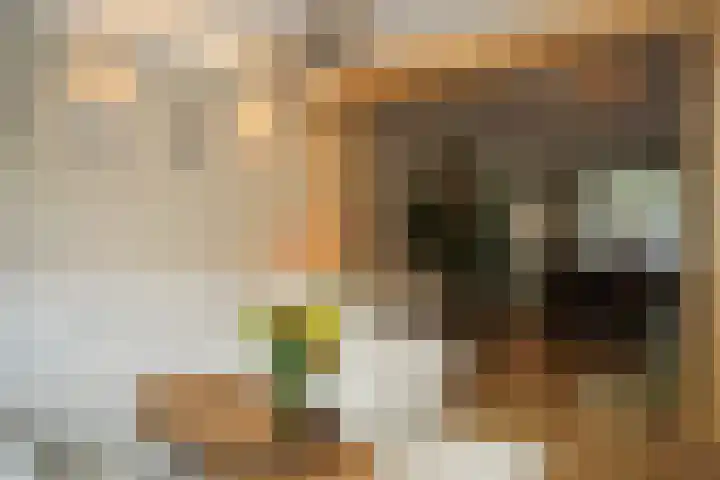Sassenstraat 15 Aardenburg thumbnail 6