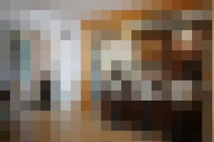 Sassenstraat 15 Aardenburg thumbnail 8