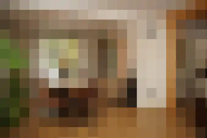 Sassenstraat 15 Aardenburg thumbnail 9