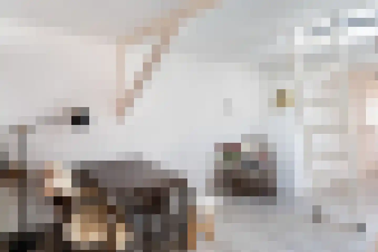 Sassenstraat 76 B Zwolle thumbnail 7