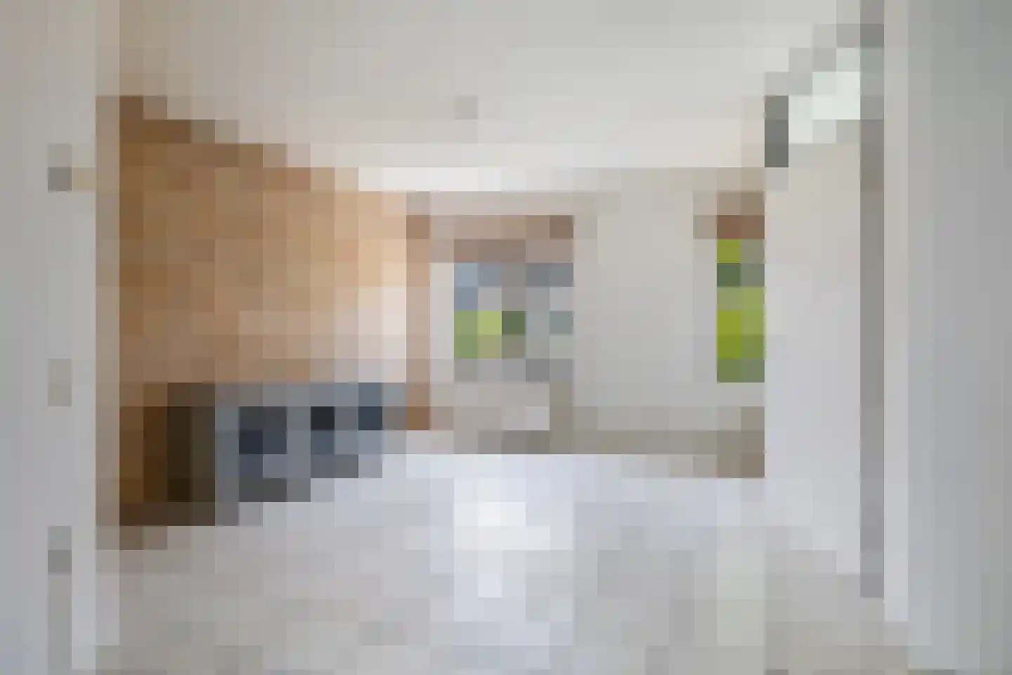 Sassingastins 127 Leeuwarden thumbnail 11