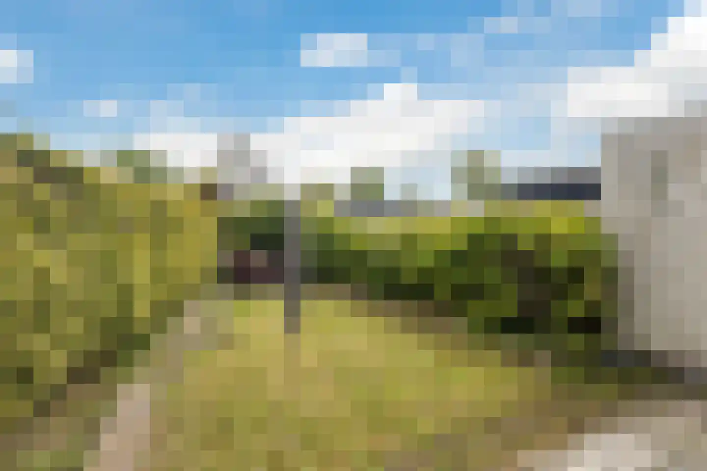 Sassingastins 127 Leeuwarden thumbnail 21