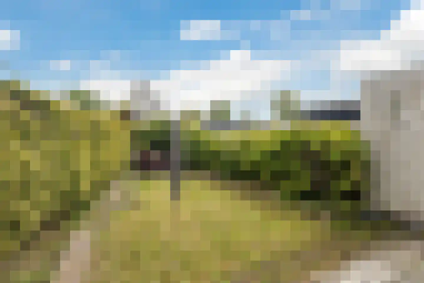 Sassingastins 127 Leeuwarden thumbnail 25
