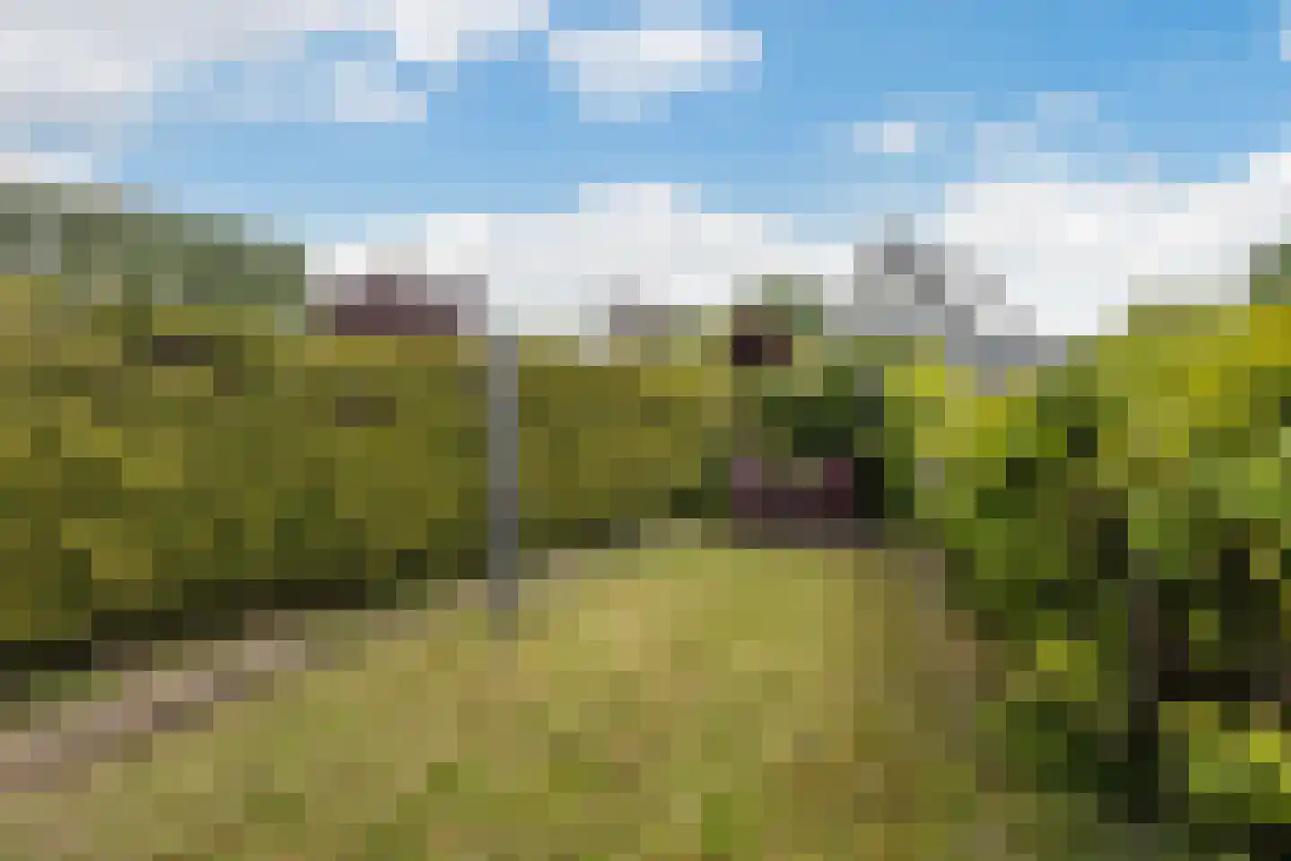 Sassingastins 127 Leeuwarden thumbnail 26