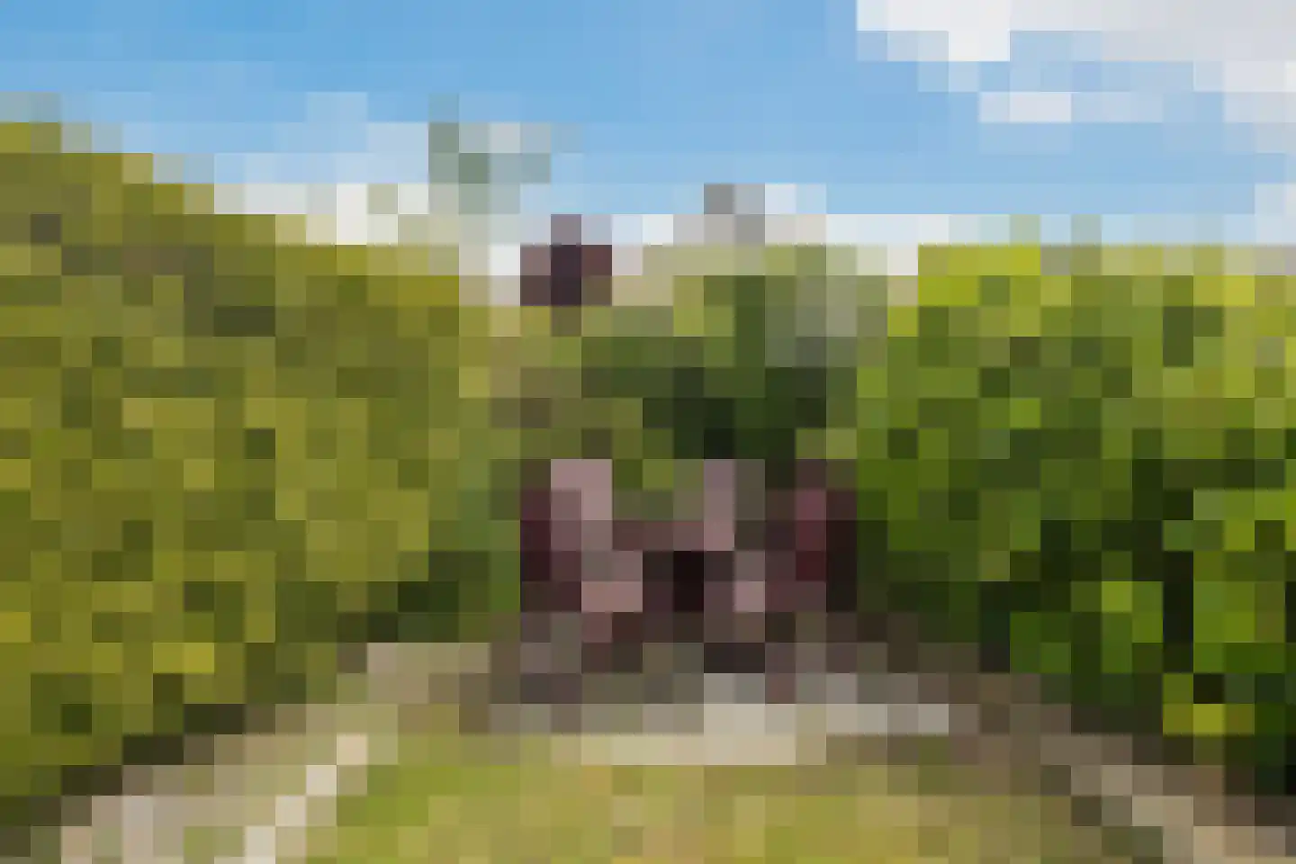 Sassingastins 127 Leeuwarden thumbnail 27