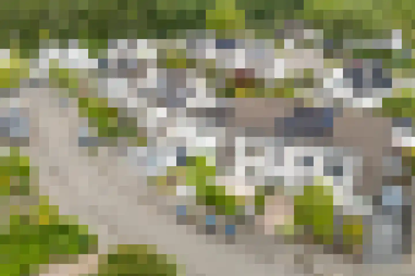 Sassingastins 127 Leeuwarden thumbnail 42