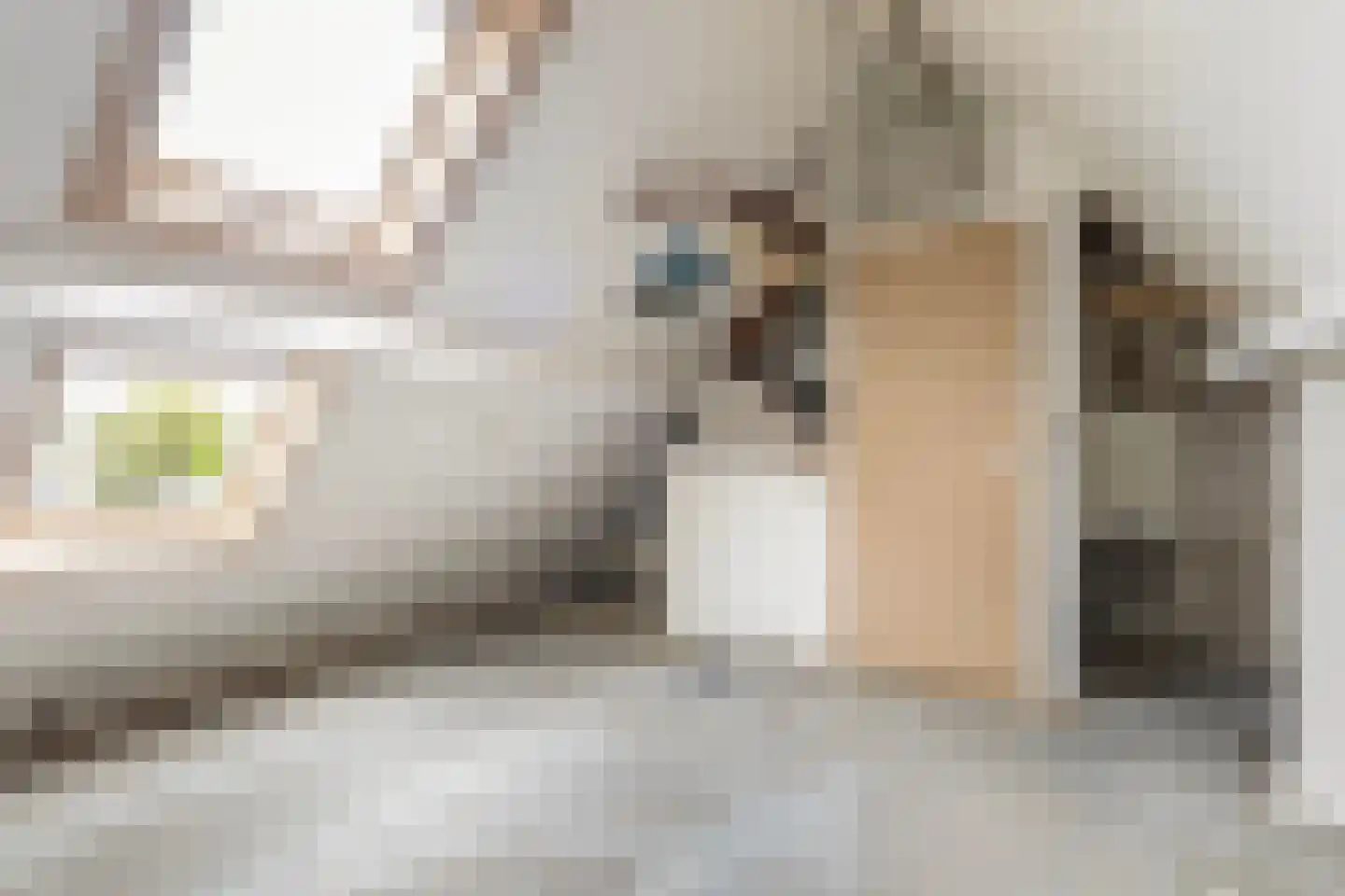 Sassingastins 127 Leeuwarden thumbnail 43