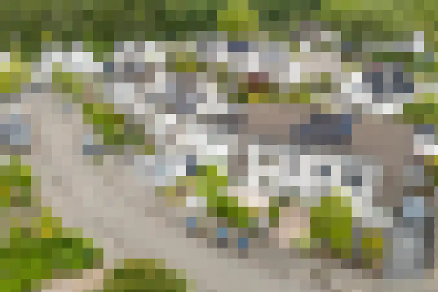 Sassingastins 127 Leeuwarden thumbnail 47