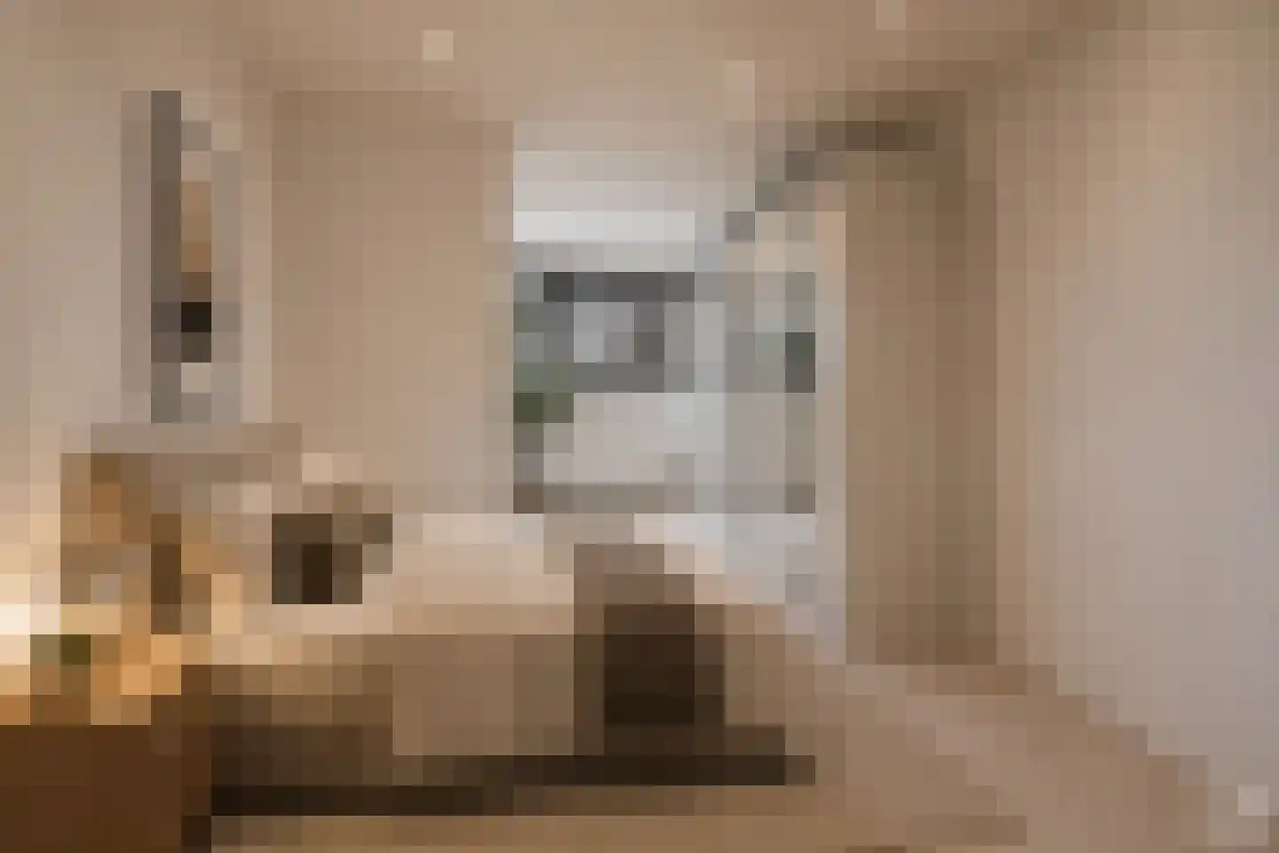 Sassingastins 127 Leeuwarden thumbnail 5