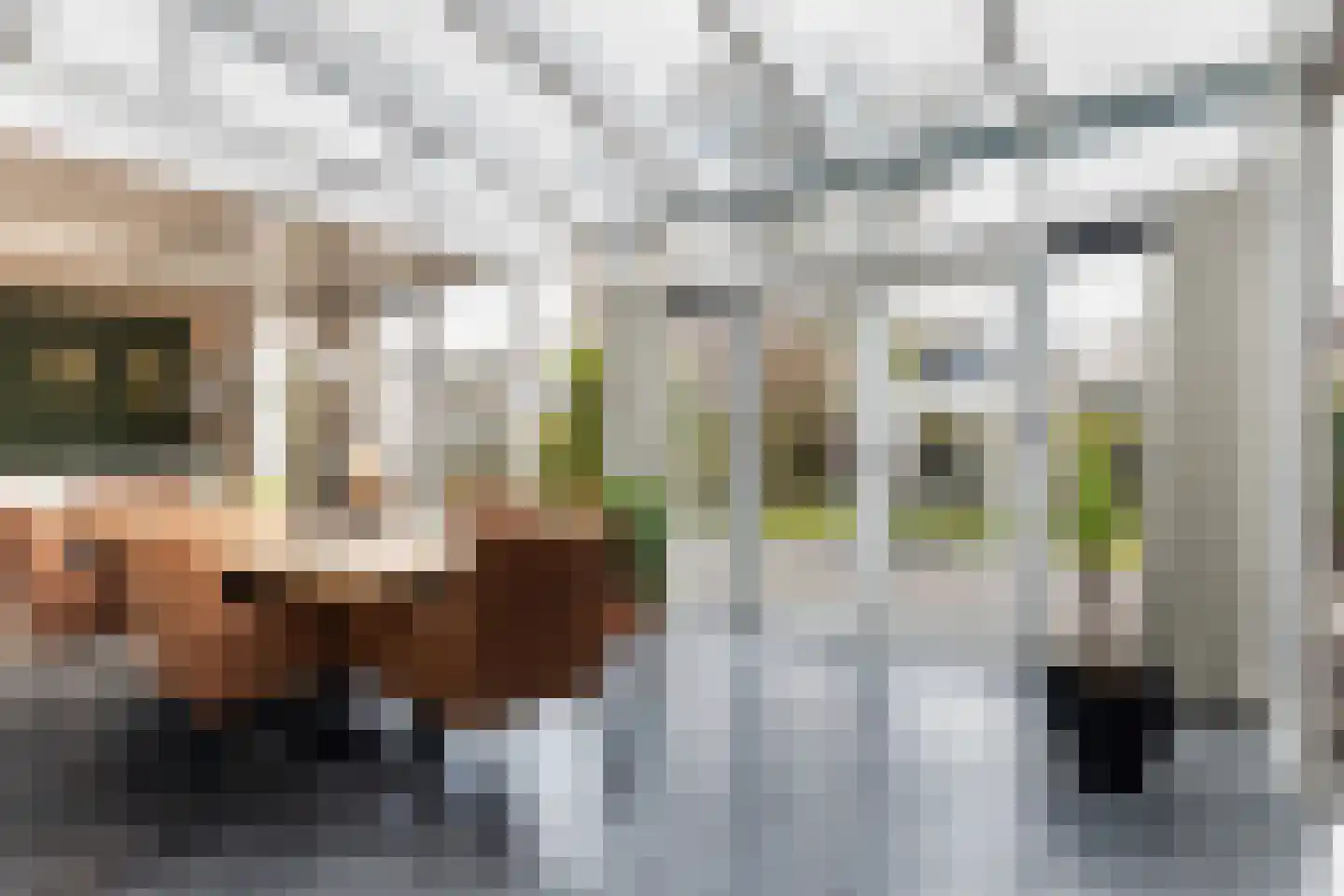 Sassingastins 44 Leeuwarden thumbnail 20