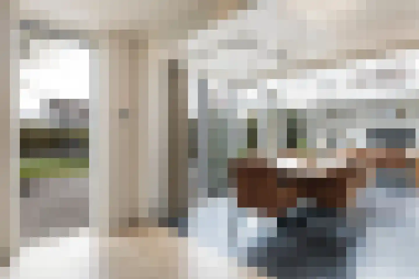 Sassingastins 44 Leeuwarden thumbnail 23