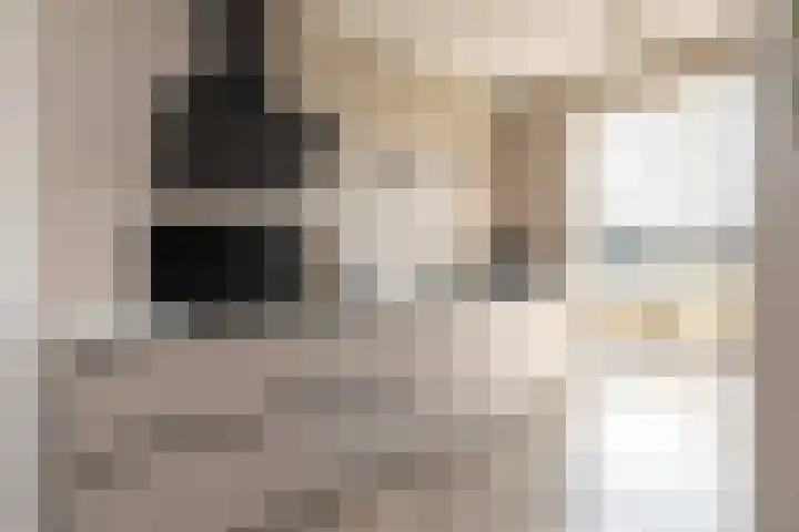 Satellietenlaan 23 a Hoogeveen thumbnail 20