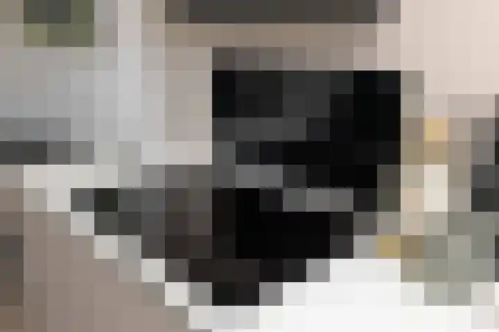Satellietenlaan 23 a Hoogeveen thumbnail 23