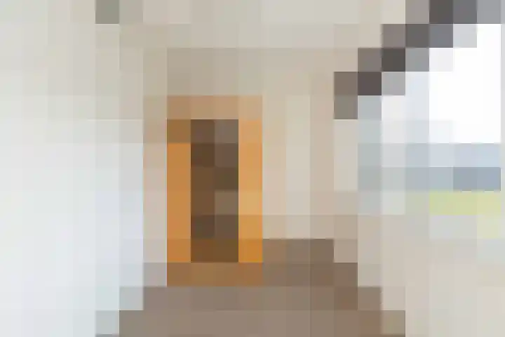 Satellietenlaan 23 a Hoogeveen thumbnail 31