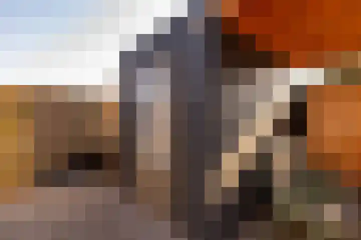 Satellietenlaan 23 a Hoogeveen thumbnail 42