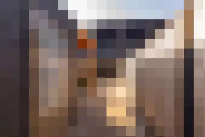 Satellietenlaan 23 a Hoogeveen thumbnail 44