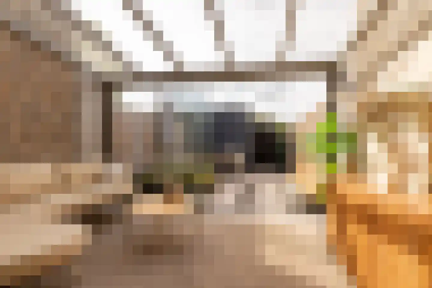 Satellietenlaan 25 d Hoogeveen thumbnail 32