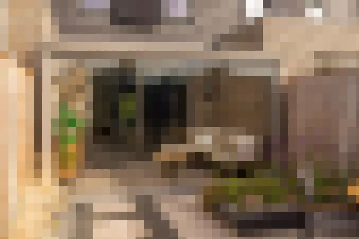 Satellietenlaan 25 d Hoogeveen thumbnail 33