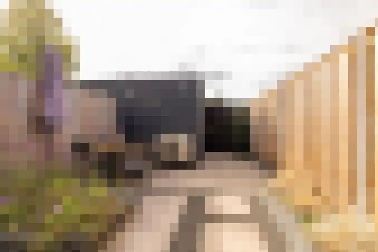 Satellietenlaan 25 d Hoogeveen thumbnail 37