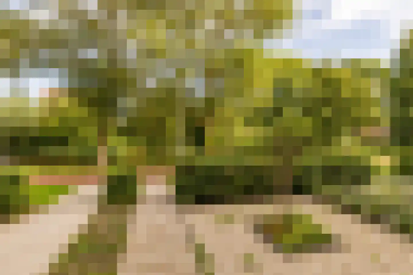 Satellietenlaan 25 d Hoogeveen thumbnail 44