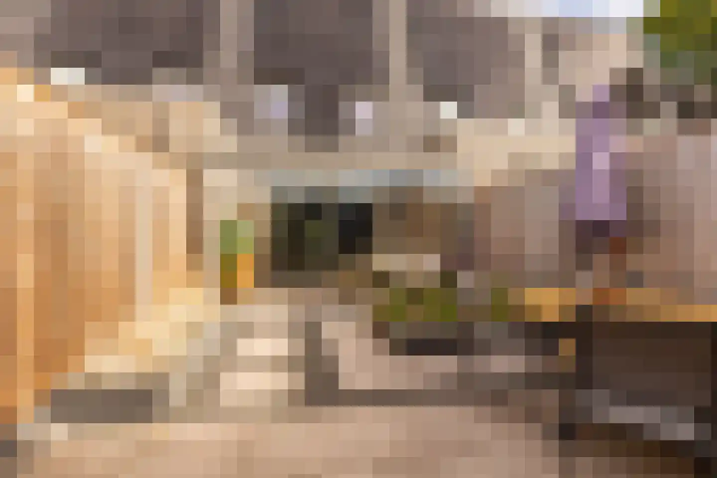 Satellietenlaan 25 d Hoogeveen thumbnail 5