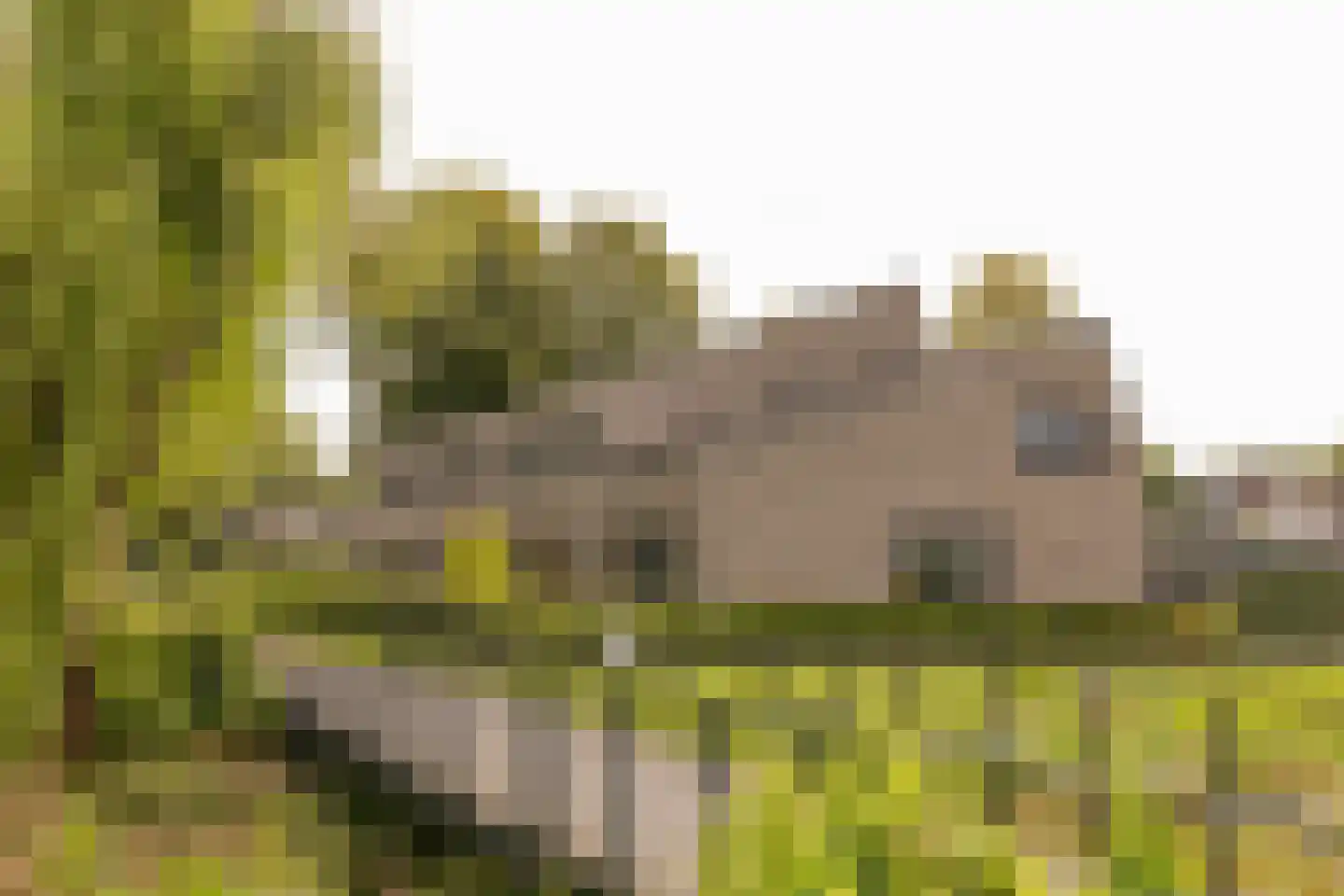 Satellietenlaan 25 d Hoogeveen thumbnail 6