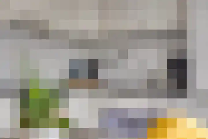 Satellietlaan 36 Hoogezand thumbnail 12