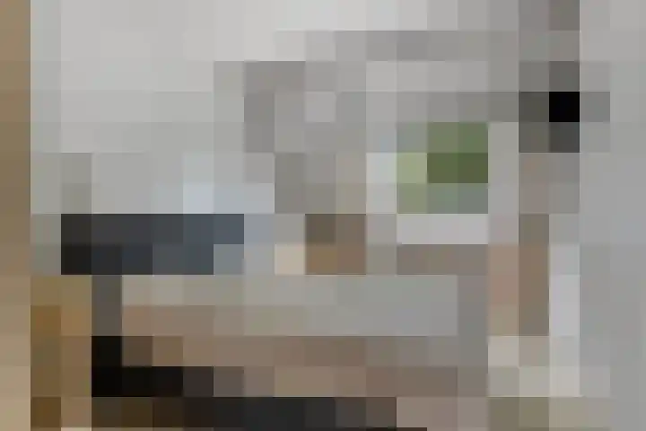 Satellietlaan 36 Hoogezand thumbnail 20