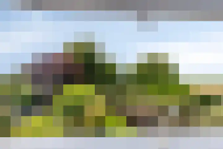 Satellietlaan 36 Hoogezand thumbnail 25
