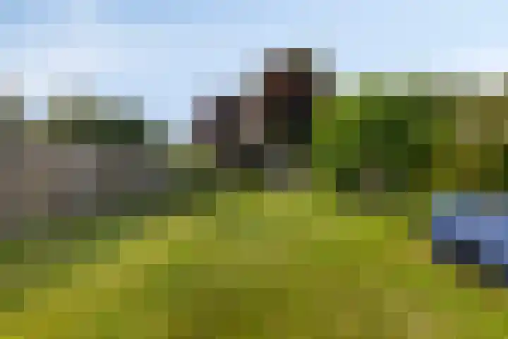 Satellietlaan 36 Hoogezand thumbnail 26
