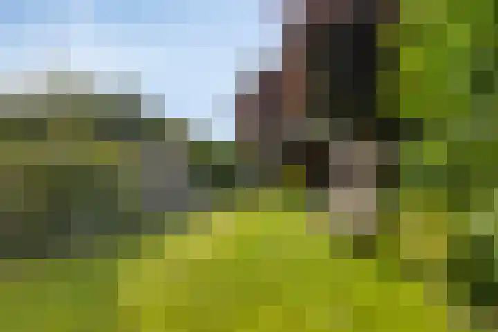 Satellietlaan 36 Hoogezand thumbnail 27