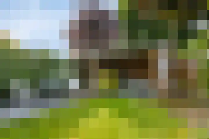 Satellietlaan 36 Hoogezand thumbnail 28