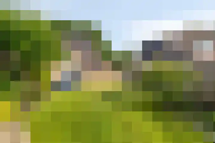 Satellietlaan 36 Hoogezand thumbnail 29