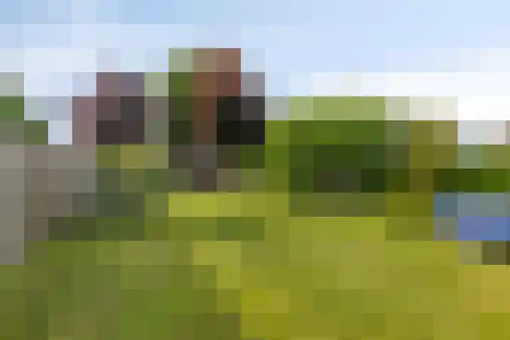 Satellietlaan 36 Hoogezand thumbnail 31