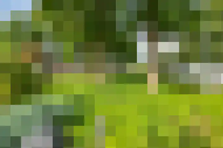 Satellietlaan 36 Hoogezand thumbnail 38