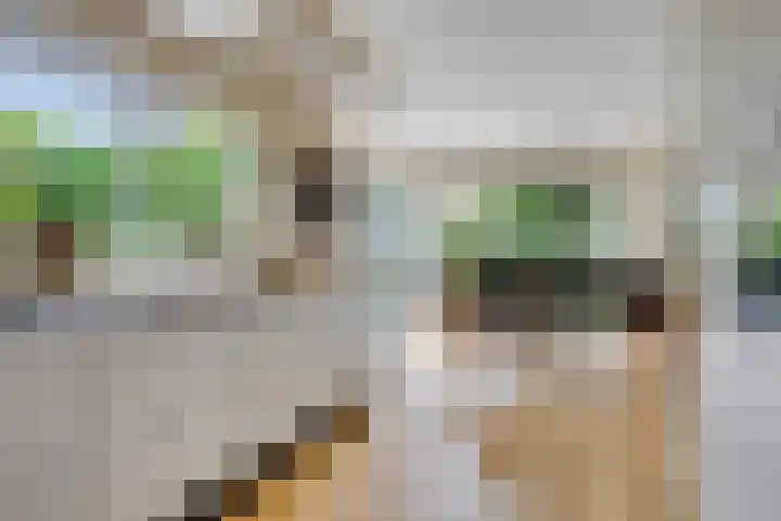 Saterslo 5 Losser thumbnail 17