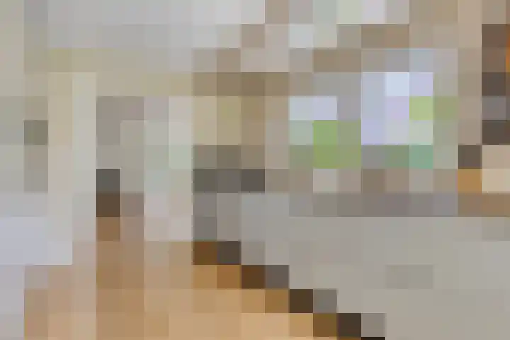 Saterslo 5 Losser thumbnail 18