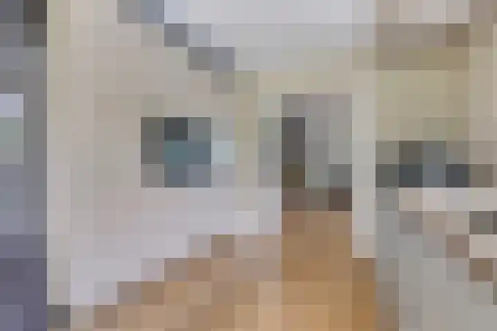 Saterslo 5 Losser thumbnail 19