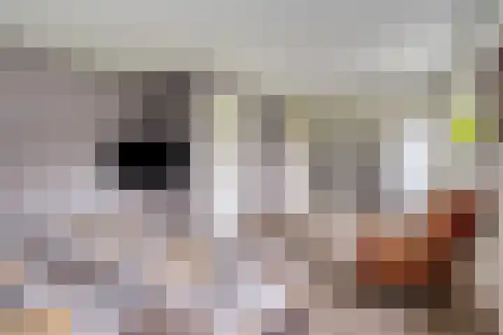 Saterslo 5 Losser thumbnail 27