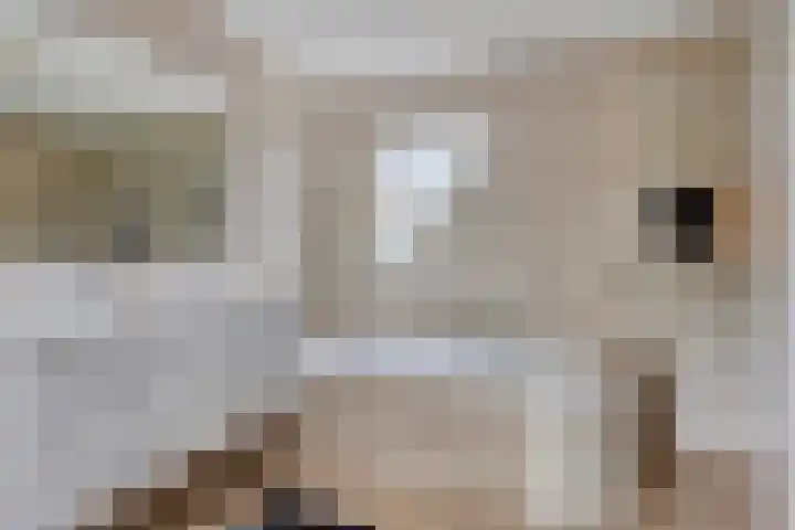 Saterslo 5 Losser thumbnail 28