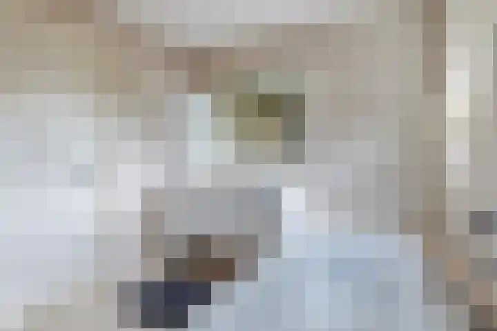 Saterslo 5 Losser thumbnail 29