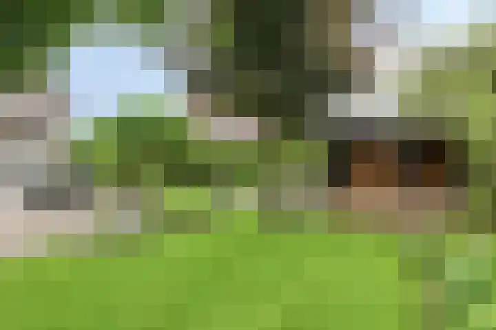 Saterslo 5 Losser foto 3